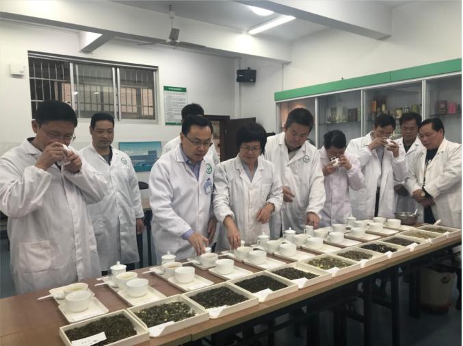 瀟湘茶業(yè)開展花茶審評和座談會(huì)，劉仲華院士等專家共謀花茶產(chǎn)業(yè)發(fā)展