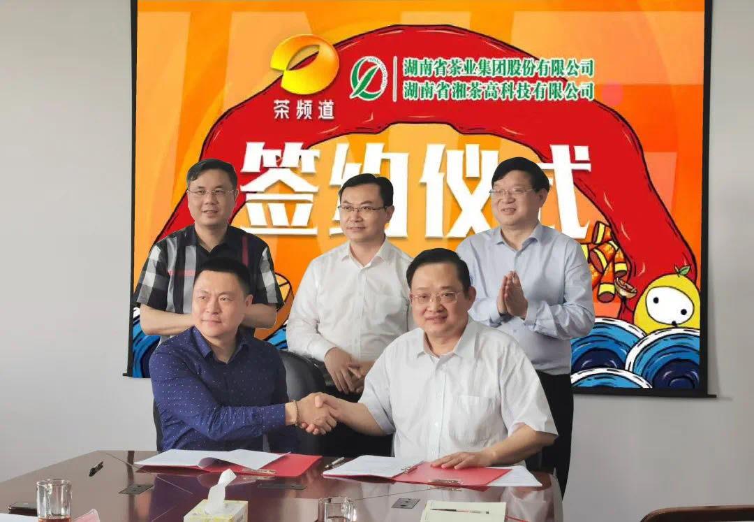院士見證，輕輕茶發(fā)力品牌建設(shè)，與茶頻道達(dá)成深度合作